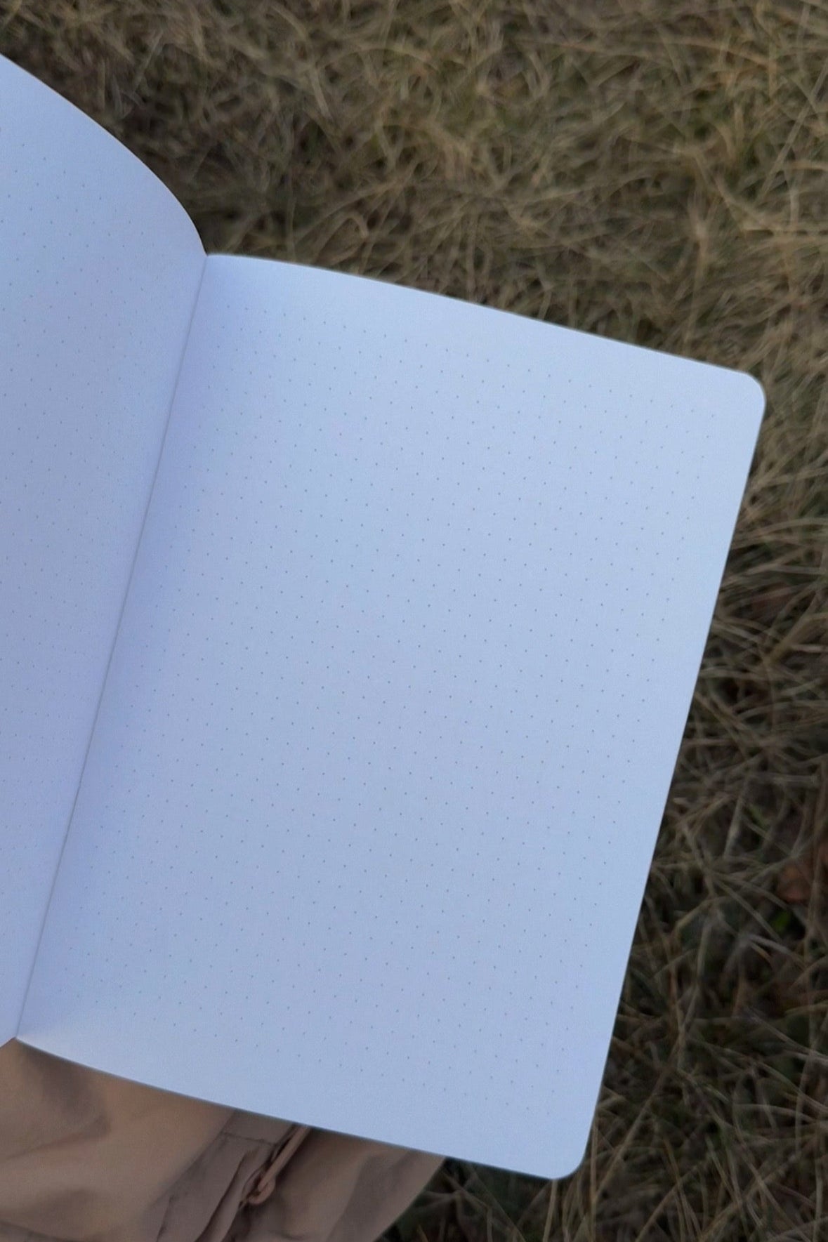 Handmade notebook A5 with daisies, dot grid journal