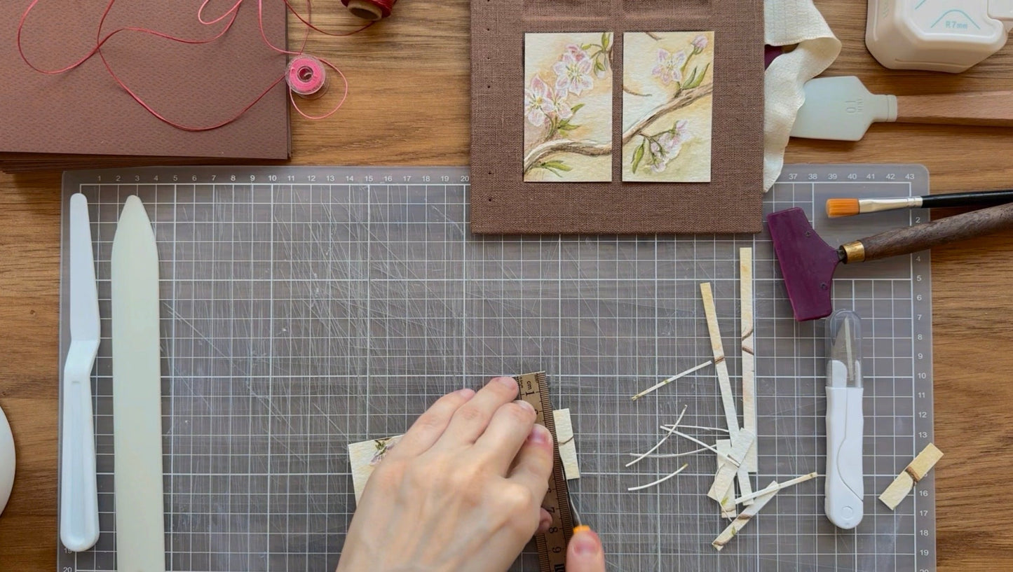 02. A Window to Spring - "Quiet Blossoms" Collection