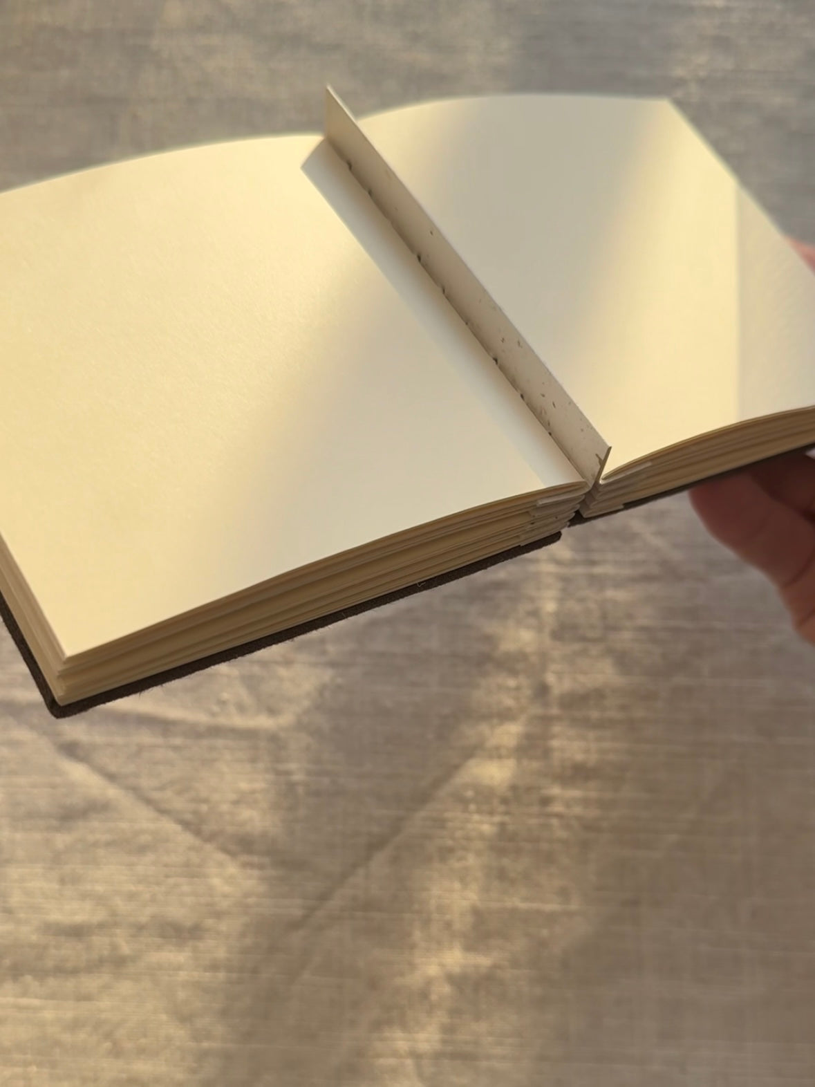 Notebook with painting, sketchbook brown "Golden Shadows"